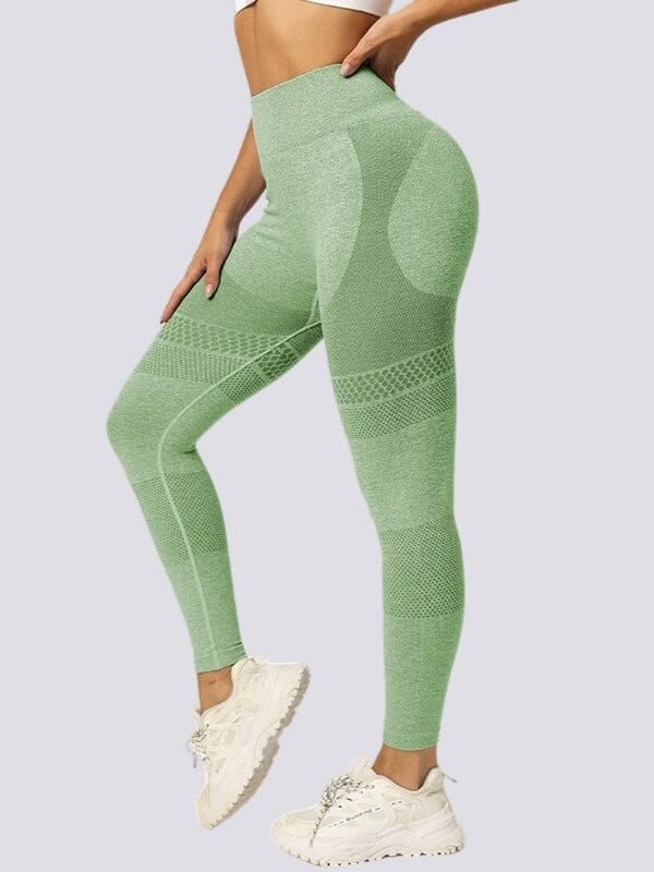 Legging Sans Couture Galbant - Édition limitée