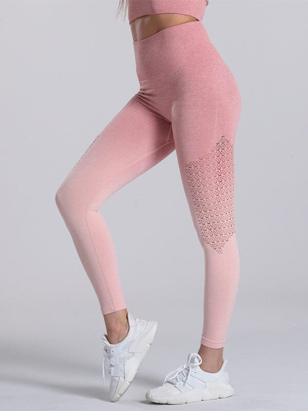 Legging Sport Dégradé Sans Couture