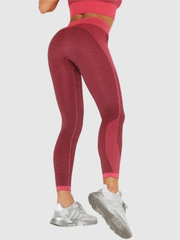 Legging Sport Sans Couture Fitness