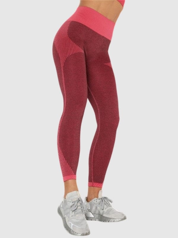 Legging Sport Sans Couture Fitness