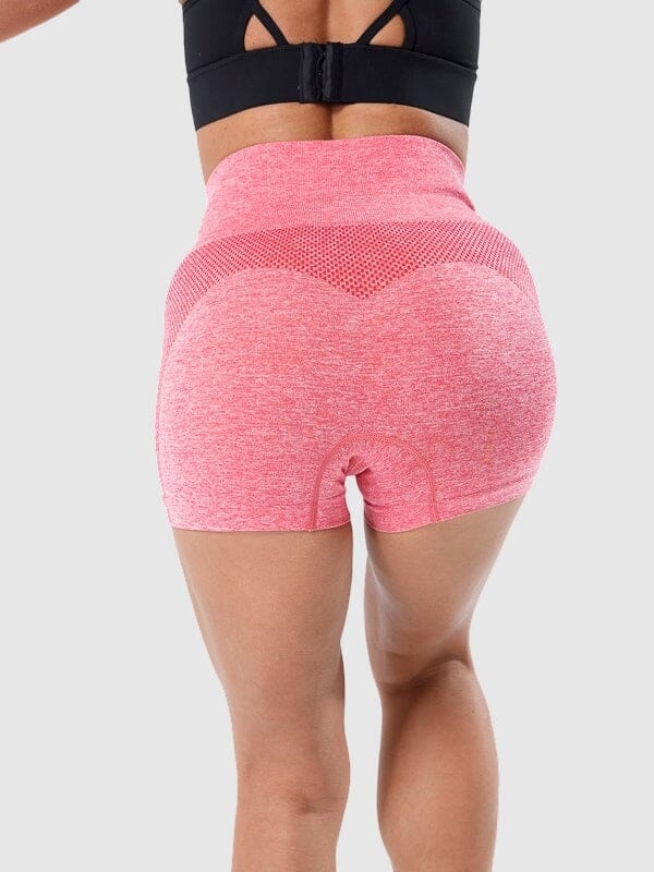 Short Sport Fitness Taille Haute Sans Couture