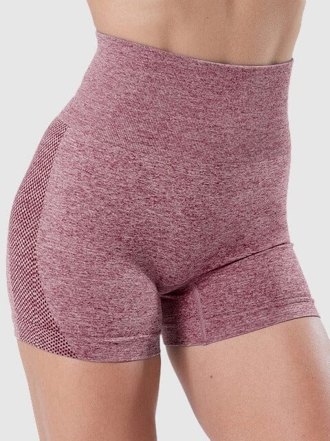 Short Sport Fitness Taille Haute Sans Couture